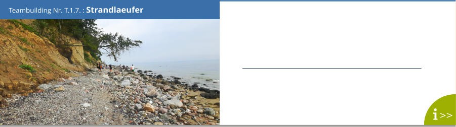 Teambuilding Nr. T.1.7. : Strandlaeufer >>