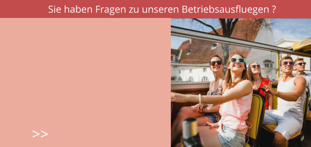 Sie haben Fragen zu unseren Betriebsausfluegen ? >>